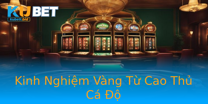 Kinh Nghiệm Vàng Từ Cao Thủ Cá Độ Kinh Nghiệm Vàng Từ Cao Thủ Cá Độ